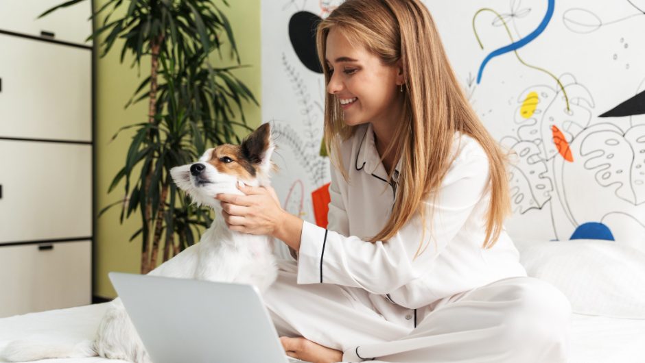 Cele mai bune platforme online pentru cursuri gratuite