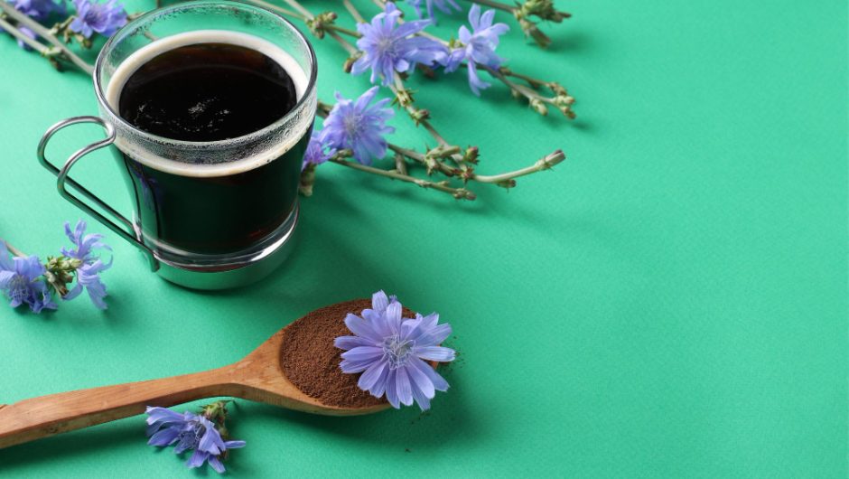 Cicoarea – beneficii pentru detoxifierea ficatului și susținerea sistemului imunitar