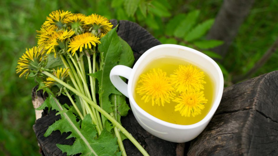 Ceaiul de păpădie: Detoxifiantul natural pentru ficat și rinichi