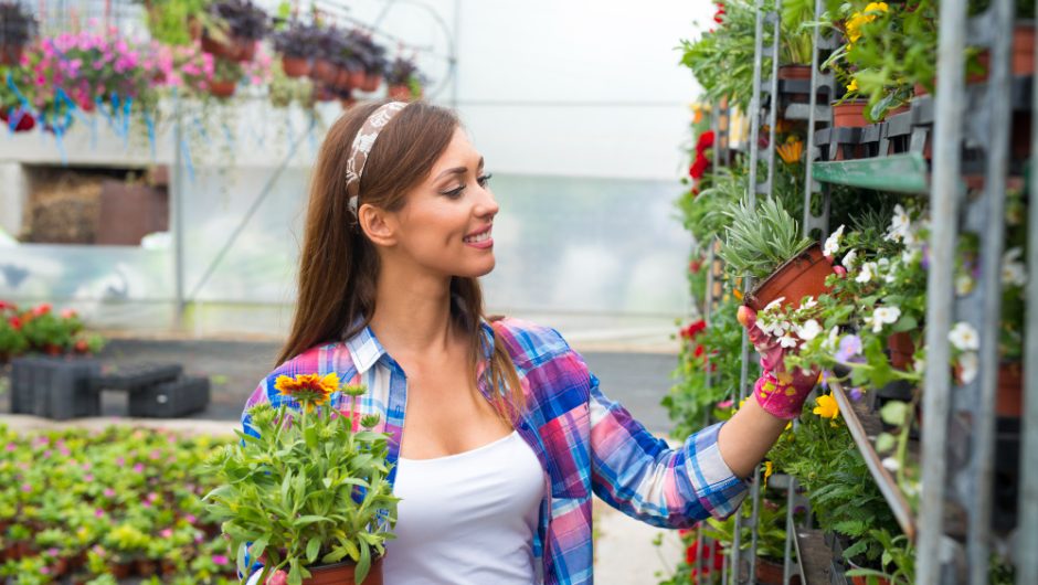 Un balcon productiv: legume și plante aromatice crescute în ghivece
